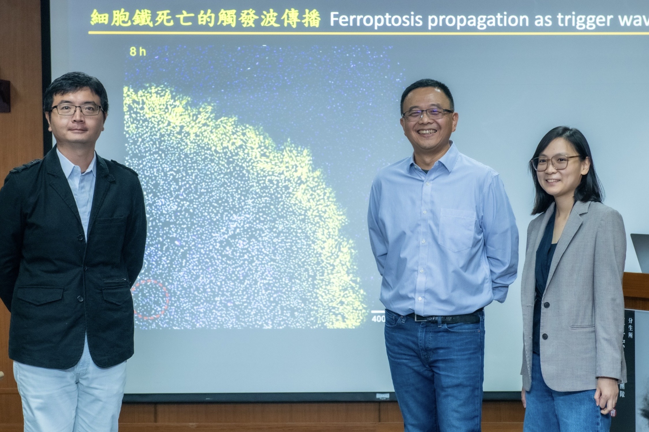 Academia Sinica Lab for Cell Dynamics Discovered Ferroptotic Trigger Waves as the Hidden Hand that Carves Life, Research Featured in Nature